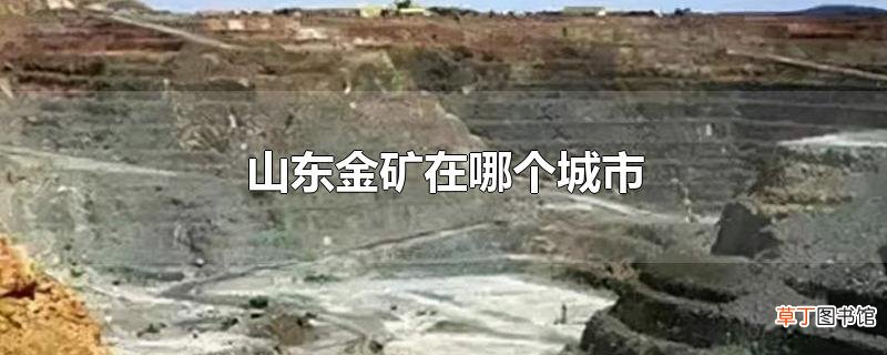 山东金矿在哪个城市