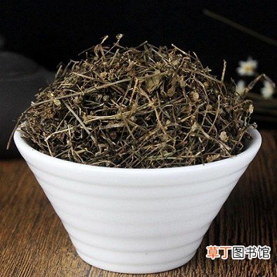 白花蛇舌草,名字很奇怪,却有多种抗癌成分,你听说过吗?