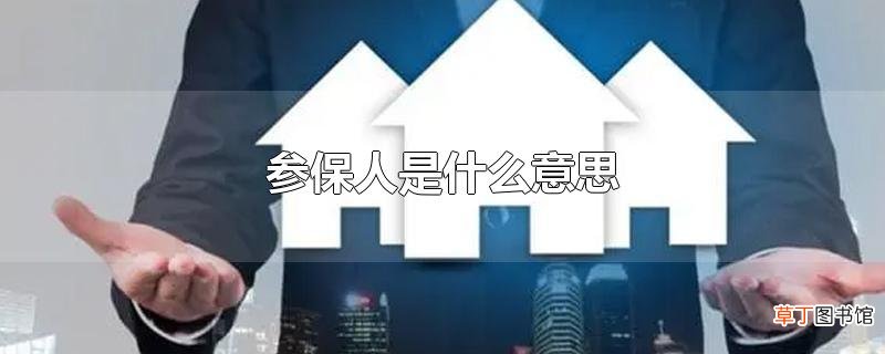 参保人是什么意思