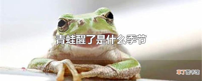 青蛙醒了是什么季节