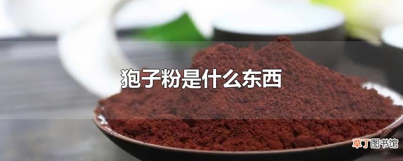 狍子粉是什么东西