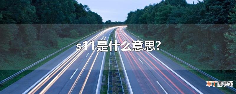 s11是什么意思?