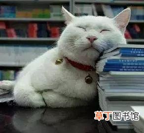 最近经常犯困是怎么回事 女人老感觉疲乏想睡觉是什么原因