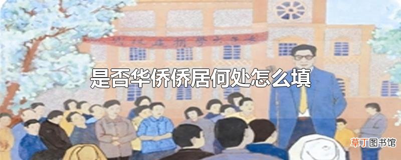 是否华侨侨居何处怎么填