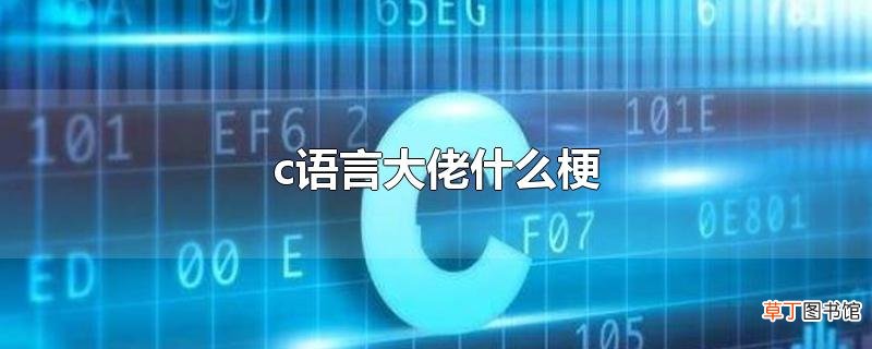 c语言大佬什么梗