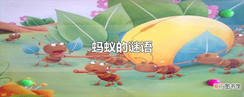 蚂蚁的谜语