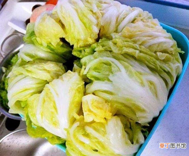 泡菜的腌制方法 泡菜的腌制方法和配料
