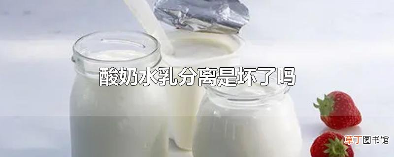 酸奶水乳分离是坏了吗