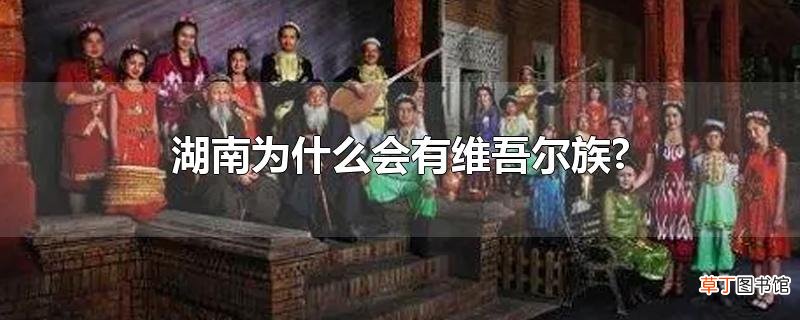 湖南为什么会有维吾尔族?