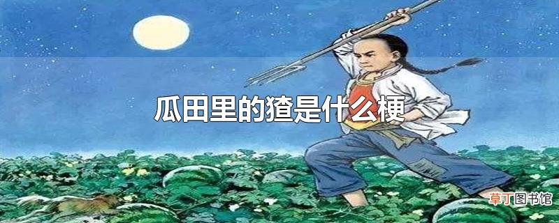 瓜田里的猹是什么梗