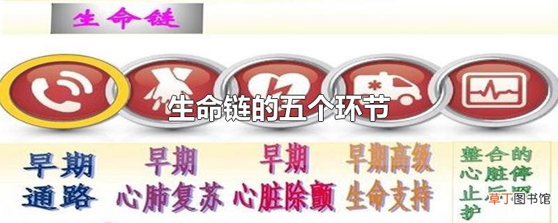 生命链的五个环节