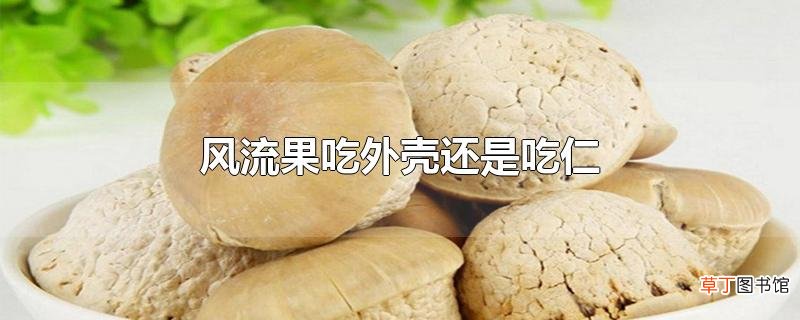风流果吃外壳还是吃仁