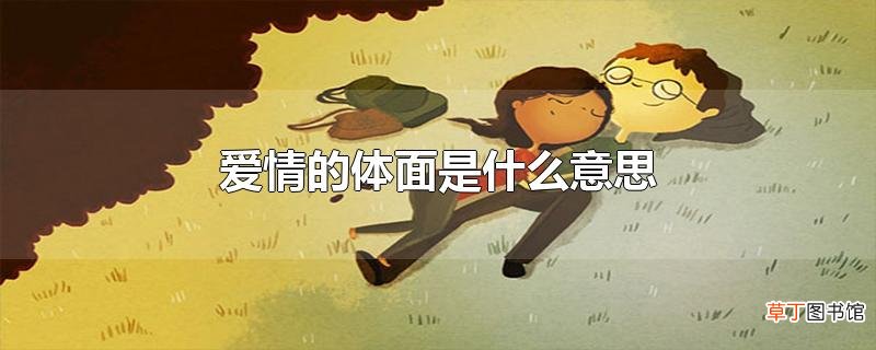 爱情的体面是什么意思