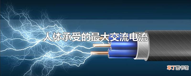 人体承受的最大交流电流