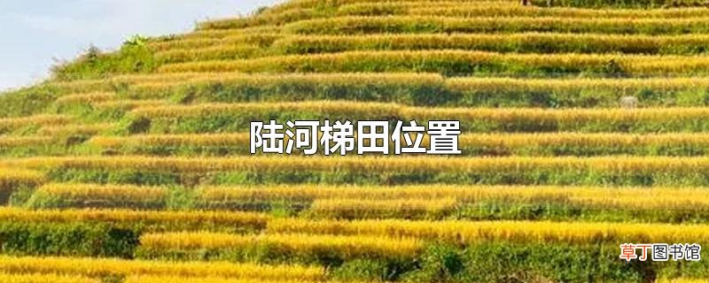 陆河梯田位置