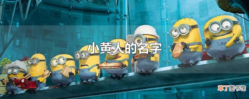 小黄人的名字
