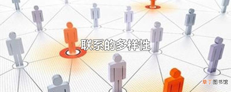 联系的多样性