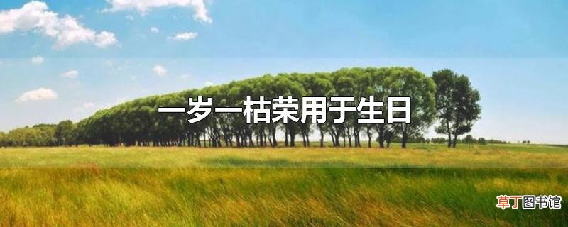 一岁一枯荣用于生日