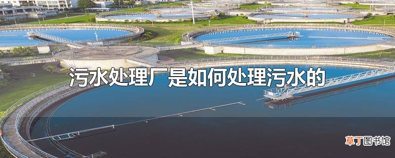 污水处理厂是怎么处理污水的