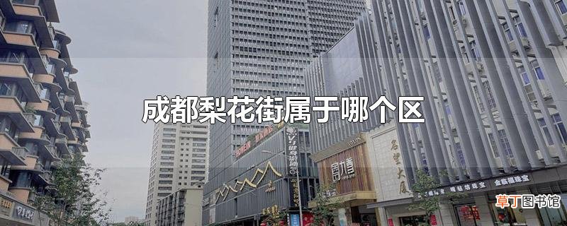 成都梨花街属于哪个区