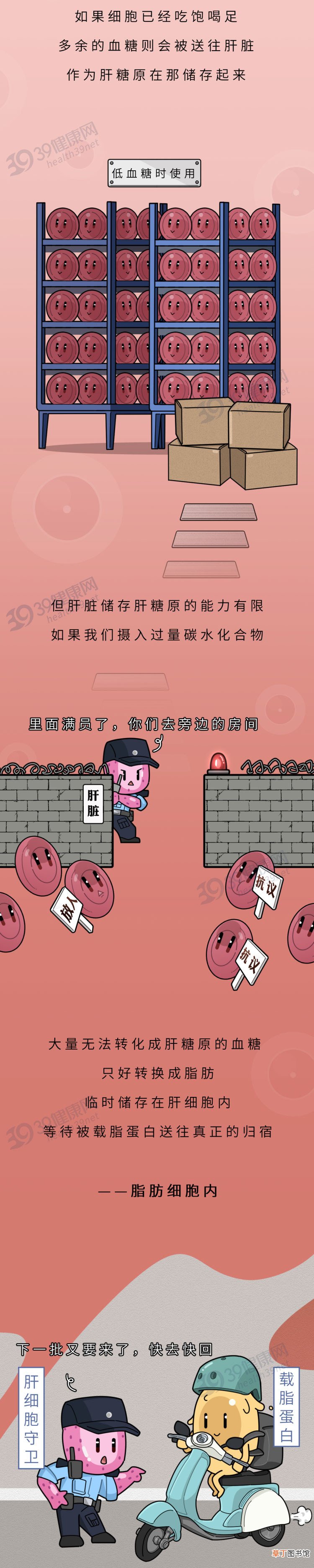 脂肪肝不可怕，日常饮食可逆转！医生：多吃这些食物，效果看得见