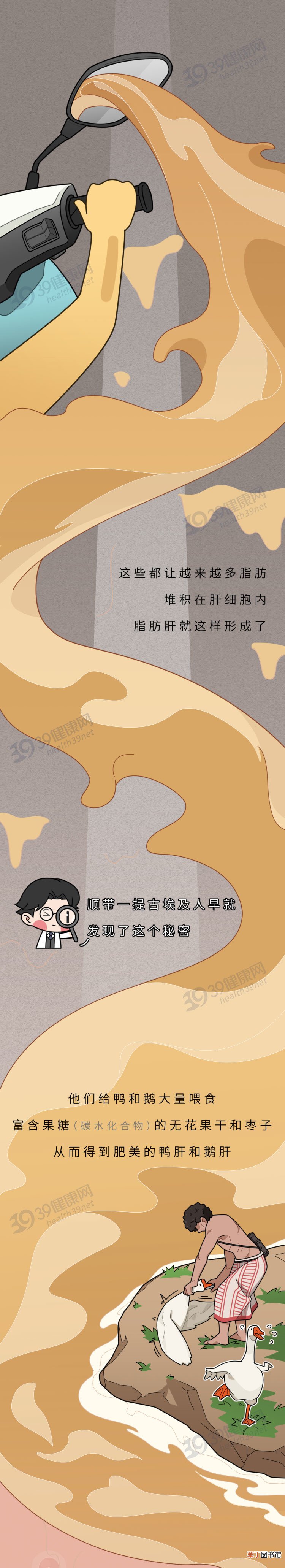 脂肪肝不可怕，日常饮食可逆转！医生：多吃这些食物，效果看得见