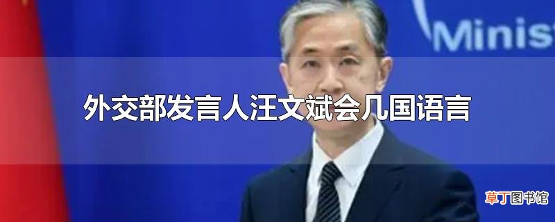 外交部发言人汪文斌会几国语言