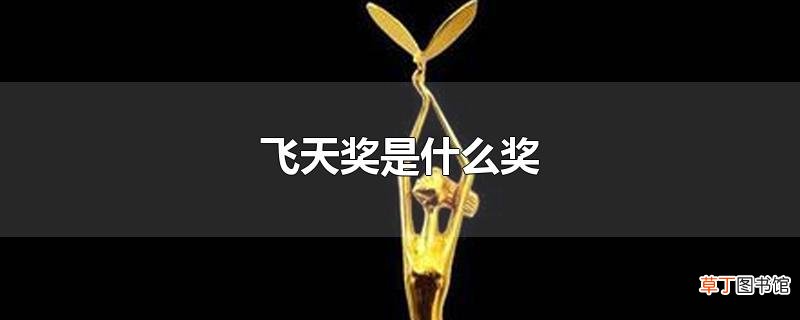 飞天奖是什么奖