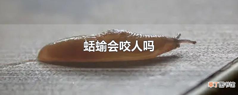 蛞蝓会咬人吗