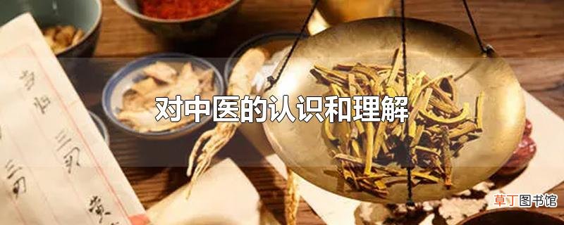 对中医的认识和理解