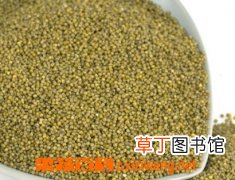 绿小米的功效和作用