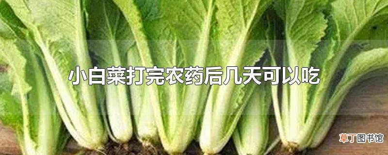 小白菜打完农药后几天可以吃