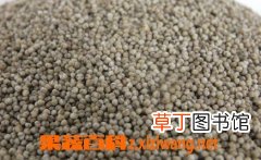黑小米的功效与作用