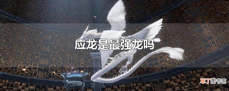 应龙是最强龙吗