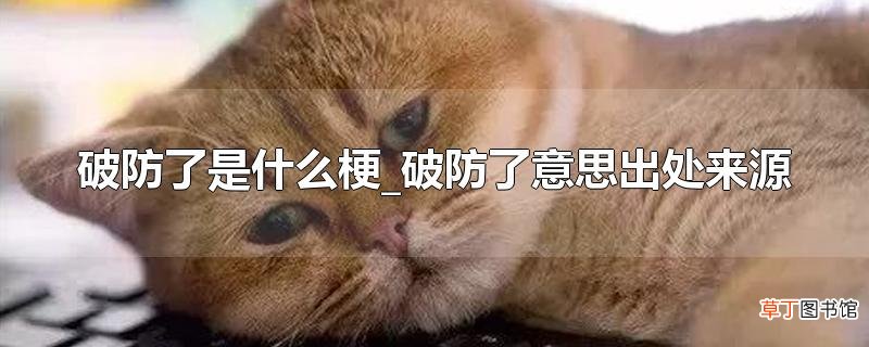 破防了是什么梗_破防了意思出处来源