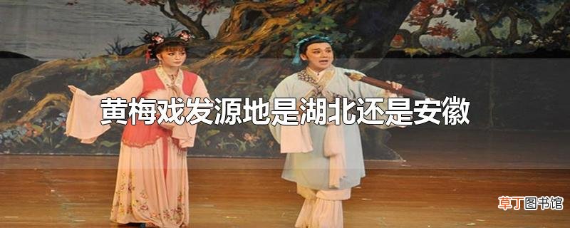 黄梅戏发源地是湖北还是安徽