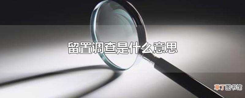 留置调查是什么意思