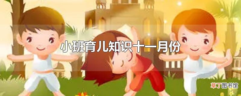 小班育儿知识十一月份