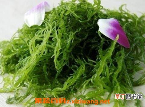 火殿龙须的功效与作用及禁忌