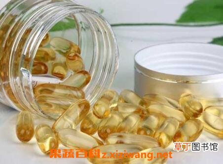 鲍鱼鱼肝油的作用与功效
