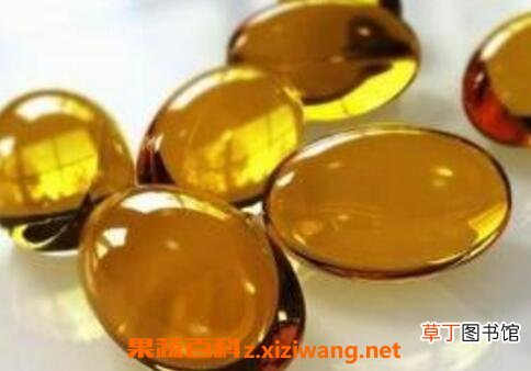 鲍鱼鱼肝油的作用与功效