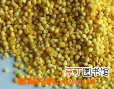黍米是什么 黍米的功效和作用