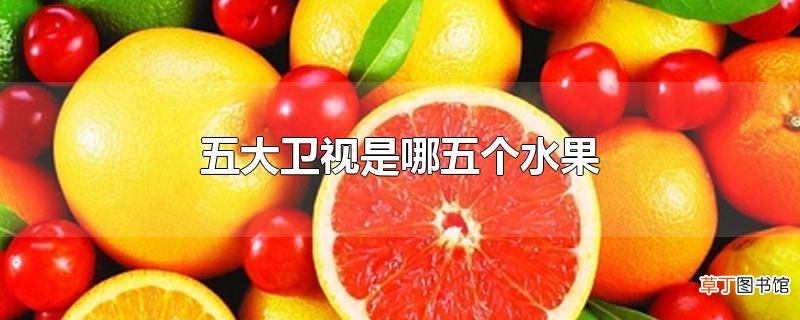 五大卫视是哪五个水果