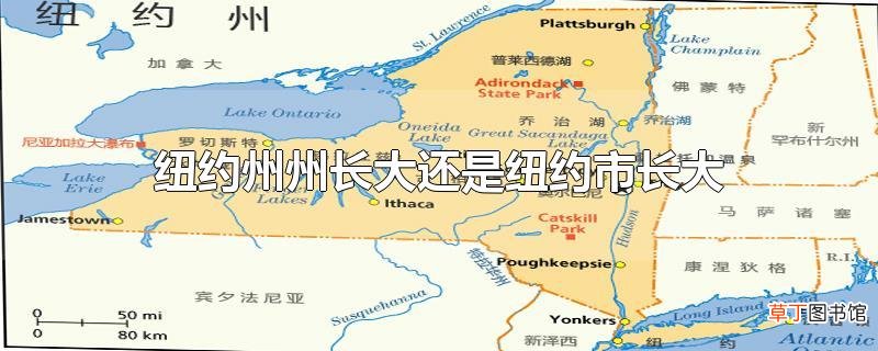 纽约州州长大还是纽约市长大