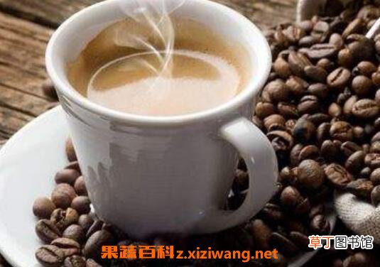 咖啡粉怎么煮 咖啡粉的冲泡方法图解