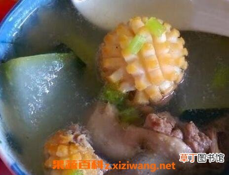 鲍鱼壳冬瓜汤的功效与作用