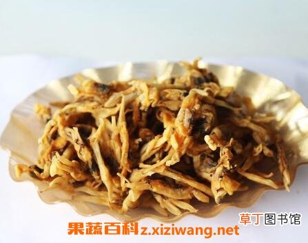 海蛏干的作用是什么 海蛏干与哪些食物相克
