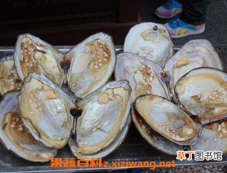 河蚌怎么洗干净 清洗河蚌的技巧