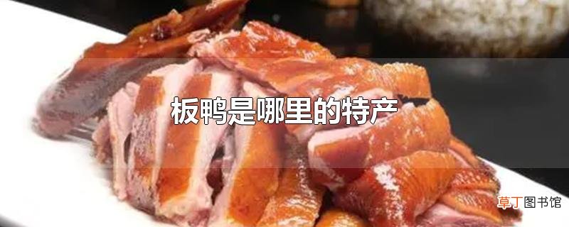 板鸭是哪里的特产