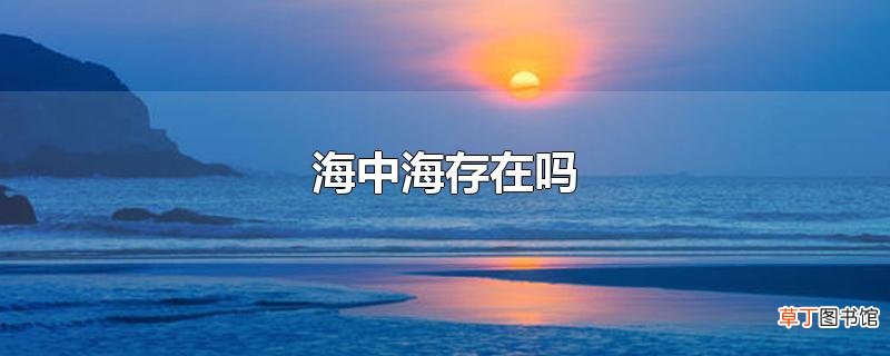 海中海存在吗
